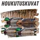 Houkutuskuvat