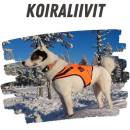 Koiraliivit
