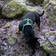 FinNero RESCUE Harness Valjaat Vihreä - Muut koiratarvikkeet - 6438406004232 - 3
