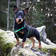 FinNero RESCUE Harness Valjaat Vihreä - Muut koiratarvikkeet - 6438406004232 - 2