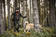 Fjällräven Lappland Hybrid Jacket W - Metsästystakki - Naisten metsästystakit - 90175 - 5