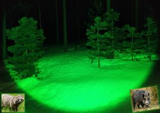 NITEforce Ruokintavalo Vihreä LED - Muut riistatarvikkeet - 21-026-026 - 2