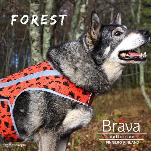 FinNero FOREST Attention Vest Orange - Koiraliivit - 6438406005826 - 1