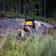 FinNero GPS Koiraliivi Oranssi/Keltainen - Koiraliivit - 6438406008988 - 4