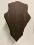 Taustalevy Peura - Trofee taustalevyt - 12345678 - 1