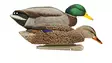 Avian-X Back Water Sorsakaaveet 6kpl - Houkutuskuvat - P6369 - 1