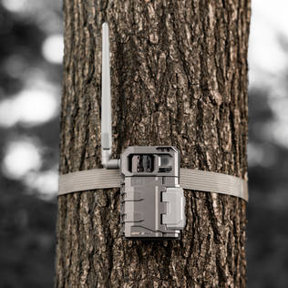 SPYPOINT LM2 TWIN PACK Riistakamera - Lähettävät riistakamerat - SPYPOINT-LM2-TWIN - 2