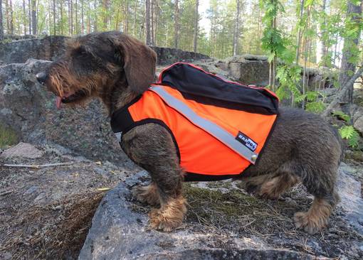 Kardog Sulo GPS-Huomioliivi - Koiraliivit - SULO - 1