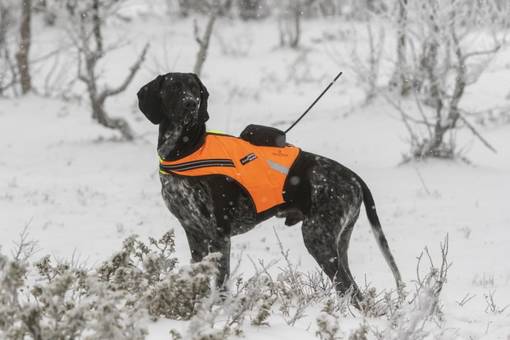 Tracker Raipe GPS-Huomioliivi - Koiraliivit - RAIPE-TRACKER - 1