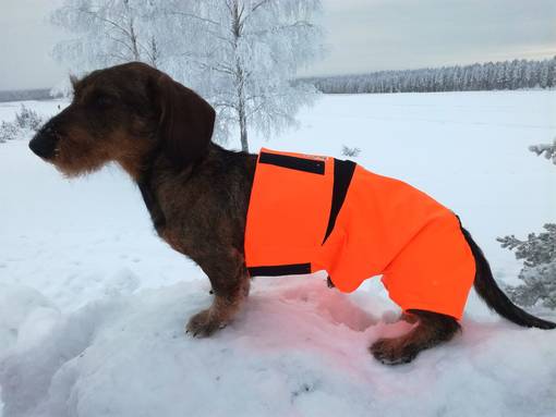 Kardog Vainu Housuosa Uros - Koiraliivit - VAINU - 1